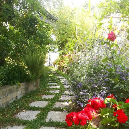 Bed and Breakfast Il Vialetto Dei Limoni Вико-Экуенсе Экстерьер фото