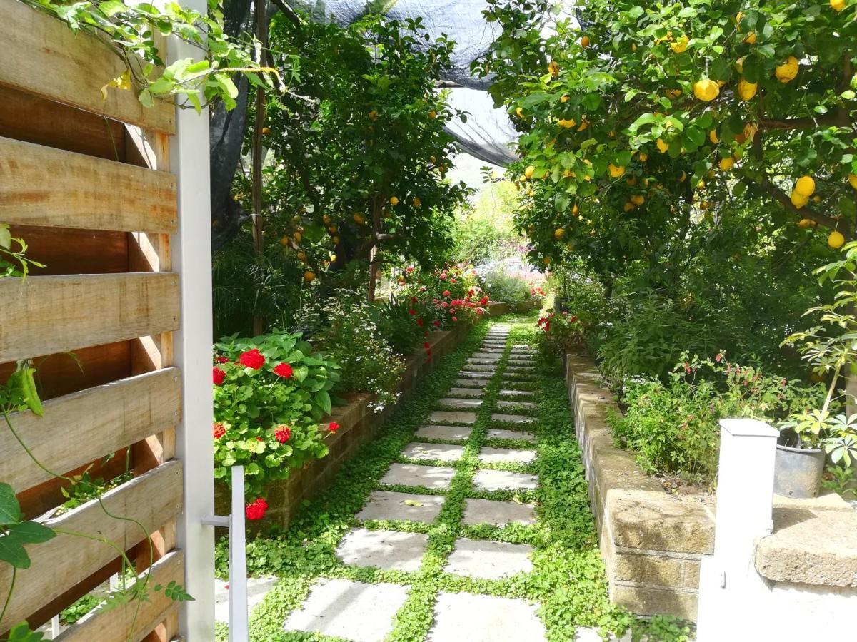 Bed and Breakfast Il Vialetto Dei Limoni Вико-Экуенсе Экстерьер фото